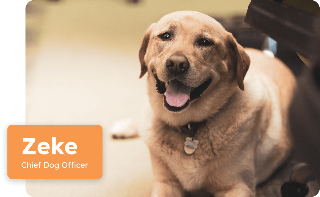 zeek-header-mobile